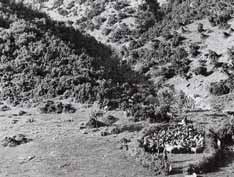 γεωργός, λίγο κτηνοτρόφος, για να αναφέρουμε τις δύο βασικές ενασχολήσεις χωρίς να παραβλέψουμε την υλοτομία, με την οποία απασχολούντο αρκετές οικογένειες της Βυτίνας.