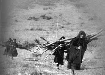 Βέβαια στη Βυτίνα υπάρχουν καφετέριες και εστιατόρια, που έχουν άδεια μουσικής και κατά καιρούς κάνουν χρήση ιδιαίτερα τα Σαββατοκύριακα με ζωντανή μουσική, όπως η καφετέρια «1033».