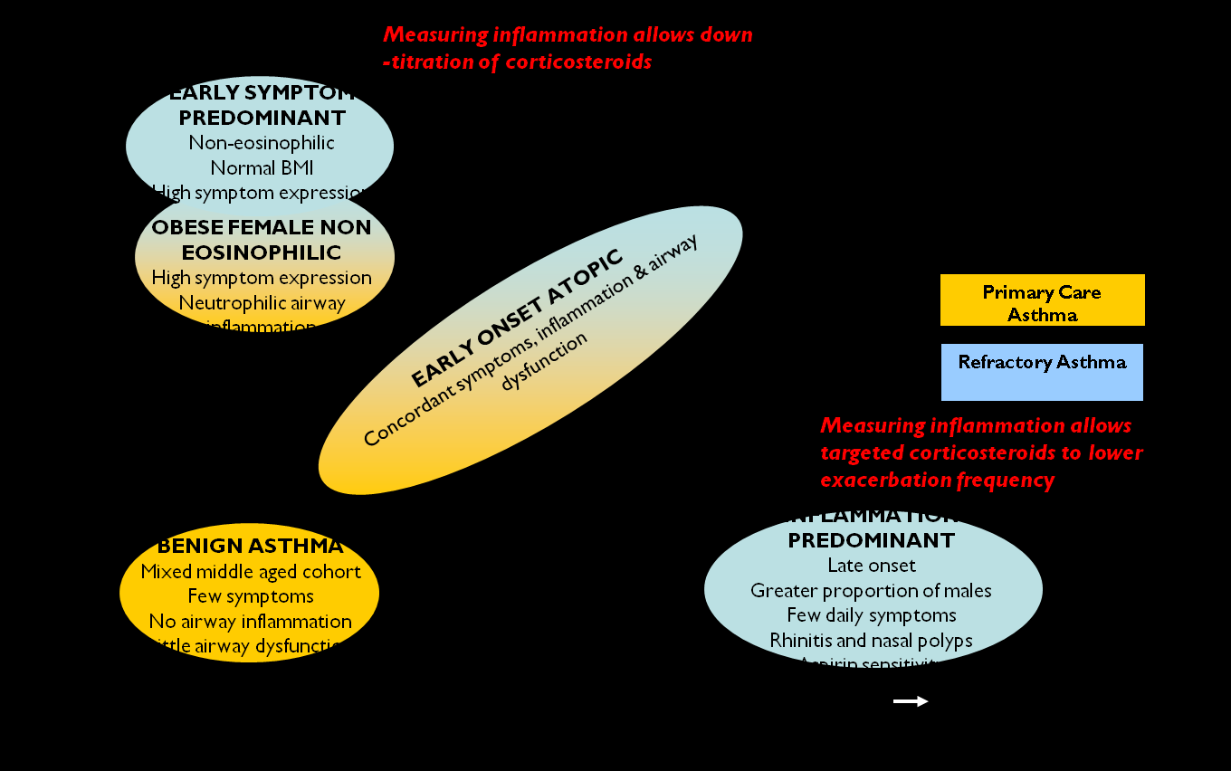 ΦΑΙΝΟΤΥΠΟΙ (hypothesis-based