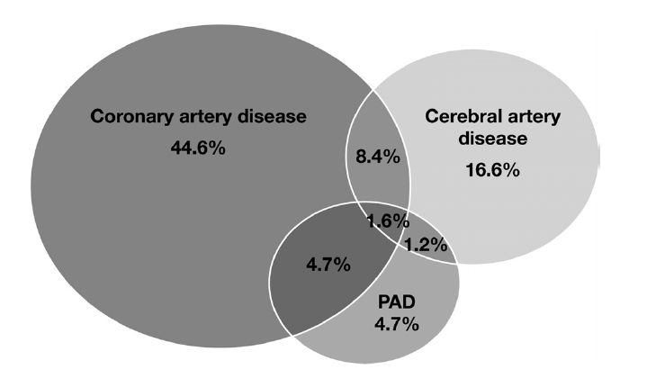Στεφανιαία νόσος Αγγειακά εγκεφαλικά επεισόδια PAD Dormandy, J.A. and R.B.