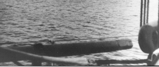 (1943 26/06/1943) Ναυπηγήθηκε στην Βρετανία κατά τα έτη 1936-1938, στα ναυπηγεία UK Yarrow & Co Ltd. Scatstoun. Glasqow. Διαστάσεις : 97,5Χ9,7Χ2,7 μ. Εκτόπισμα : 1.414 τν. Πρόωση : 34.000 hp.