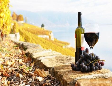 ερυθρή Sangiovese. Πλέον, μάλιστα, οι ντόπιοι οινοπαραγωγοί επιδίδονται και στην παρασκευή των Super Tuscans κρασιών, στα οποία γίνεται χρήση σταφυλιών γαλλικών ποικιλιών και υπερσύγχρονων τεχνικών.