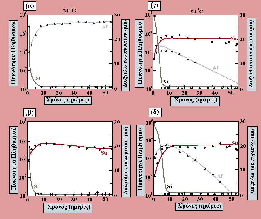 Εικόνα 5.2. Ο ανταγωνισμός μεταξύ των διατόμων ειδών Asterionella formosa και Synedra ulna, για το διοξείδιο του πυριτίου.