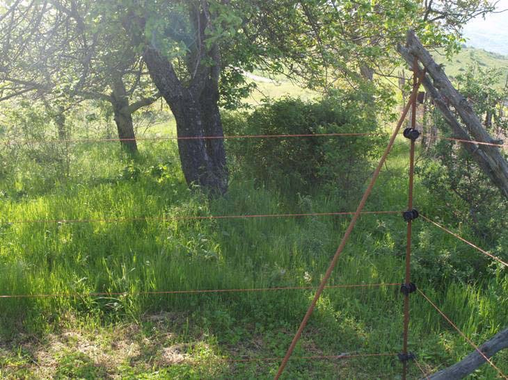 Οι πάσσαλοι Προκειμένου να εξασφαλιστεί η μεγαλύτερη δυνατή σταθερότητά τους, είναι καλό να τοποθετούνται στις γωνίες της περίφραξης, πάσσαλοι-αντηρίδες.