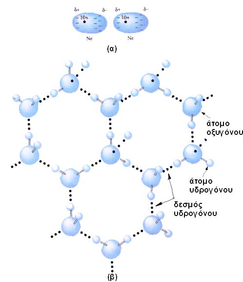 4 Σχήμα 2.3 : ευτερεύοντες δεσμοί: (α) εσμός Van der Waals μεταξύ δίπολων μορίων (Ne) και (β) δεσμός υδρογόνου στον πάγο. 2.4 Ορισμός και ιδιότητες των μετάλλων Τα χημικά στοιχεία διακρίνονται σε μέταλλα (περίπου 70 τον αριθμό) και σε αμέταλλα (περίπου 30 τον αριθμό).