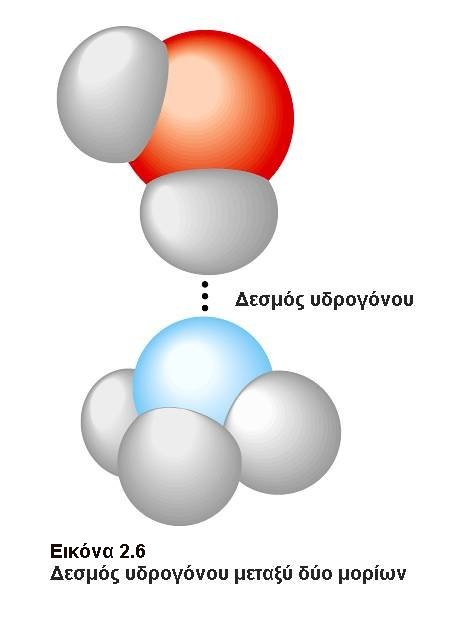 Δεσμοί υδρογόνου Δεσμός υδρογόνου δημιουργείται, όταν ένα άτομο υδρογόνου ενωμένο με ομοιοπολικό δεσμό με άλλο άτομο (άζωτο, οξυγόνο), έλκεται από άλλο γειτονικό άτομο, με ασθενές