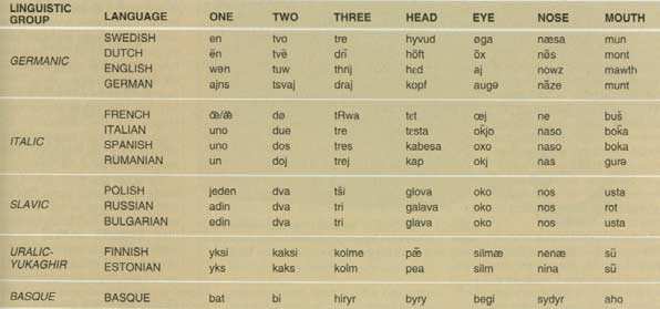 The Method of Multilateral Comparison A simple comparison of basic vocabulary reveals such major linguistic groupings as the Germanic, Italic and Slavic branches of Indo-European, Uralic-Yukaghir and