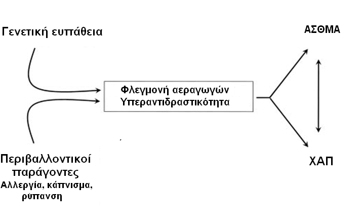 Πιθανή διασύνδεση Άσθματος