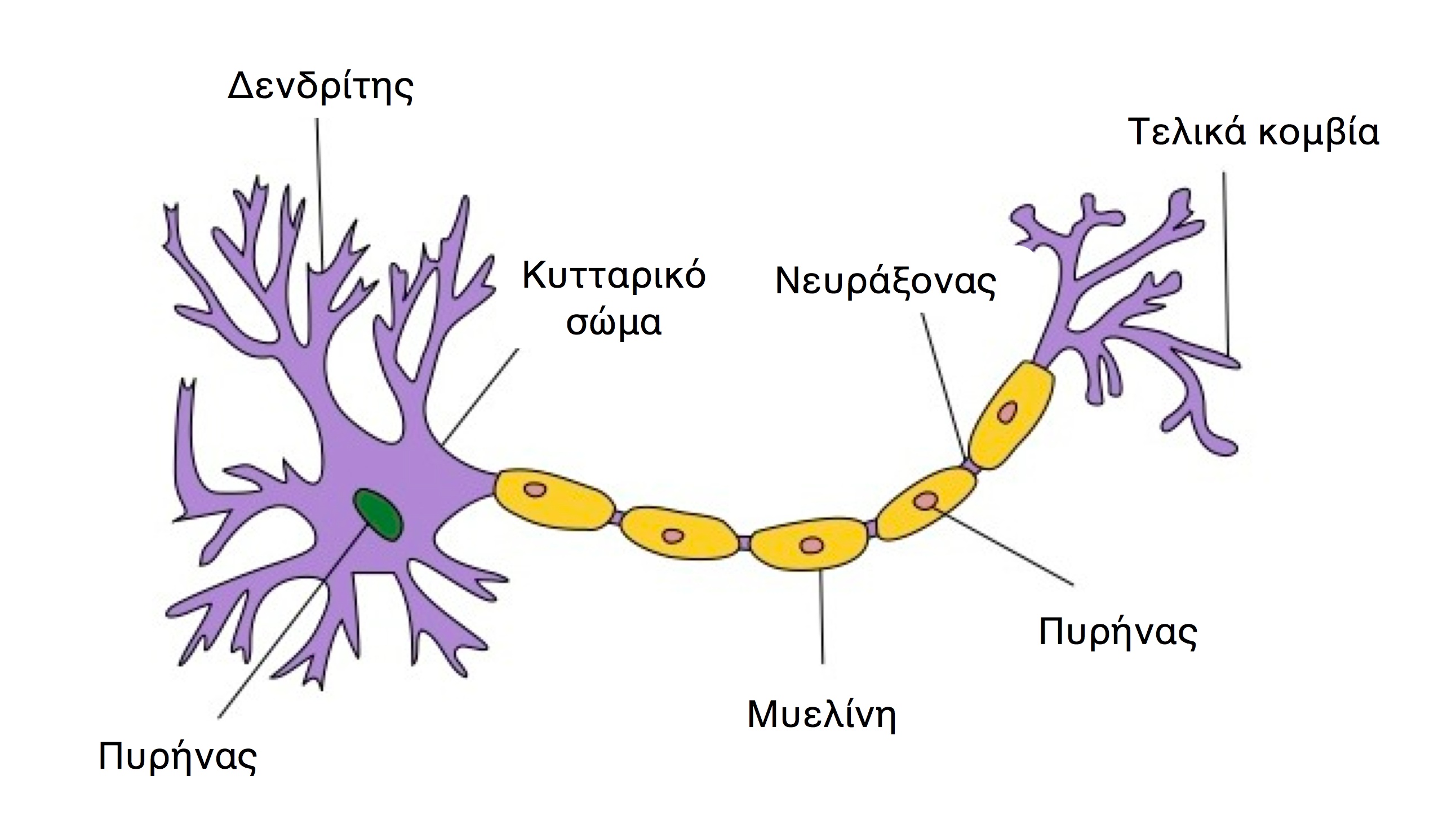 Παράρτημα 1