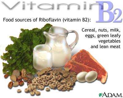 2.1 ΠΗΓΕΣ ΠΡΟΣΛΗΨΗΣ ΡΙΒΟΦΛΑΒΙΝΗΣ Η βιταµίνη Β2 βρίσκεται σε πολλές τροφές αλλά οι σηµαντικότερες είναι κυρίως οι ζωικές, το γάλα κ τα γαλακτοκοµικά προϊόντα.