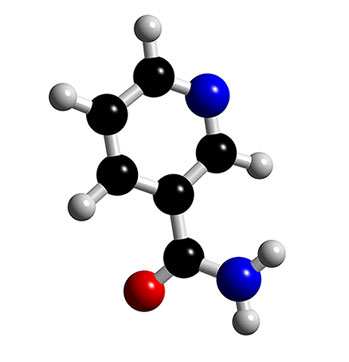 Η νιασίνη είναι µια υδατοδιαλυτή βιταµίνη του συµπλέγµατος των βιταµινών Β.