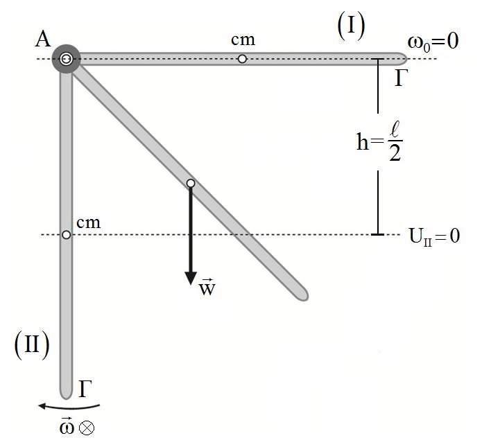 i) Σχεδιάζουμε την γωνιακή ταχύτητα της ράβδου. Αρχικά η ράβδος δεν στρέφεται (ω 0 =0) ενώ στην κατακόρυφη θέση έχει αποκτήσει γωνιακή ταχύτητα ω.