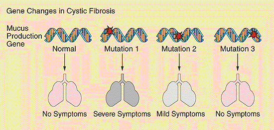 Το πιο σύνηθες γονιδιακό σφάλµα περιέχει µια αλλαγµένη µονή βάση στο DNA. Άλλες µεταλλάξεις προέρχονται από την αφαίρεση ή την προσθήκη µίας βάσης.