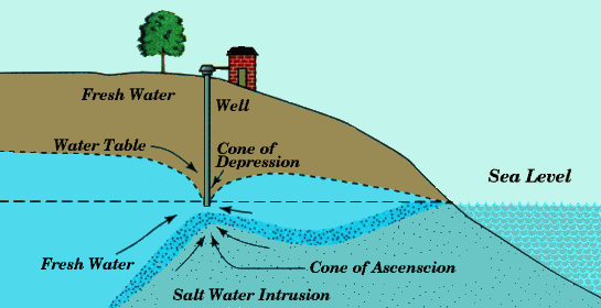 περιοχών, με σοβαρές συνέπειες για τις καλλιέργειες. Διείσδυση υφάλμυρου νερού και δημιουργία αλατούχων μέσω της άντλησης υπόγειων υδάτων (Πηγή: www.lentech.