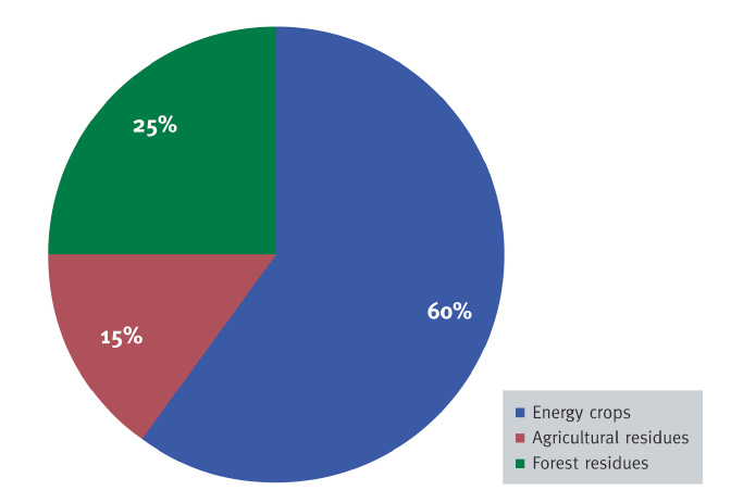 Renewable Fuel Standard,USA (Πηγή: bio-era Study, 2009) Εικόνα