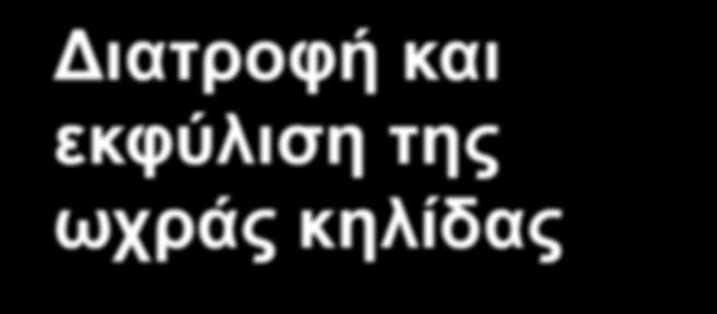 Αντιοξειδωτικά Τα αντιοξειδωτικά είναι σημαντικά για την υγεία μας και τα βρίσκουμε στις τροφές που τρώμε.
