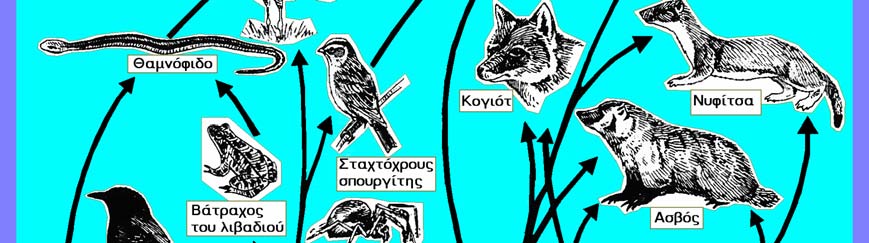 1) και αφορούν, τόσο την κατανάλωση της τροφής, όσο και την καταναλισκόμενη τροφή, διέρχεται δια