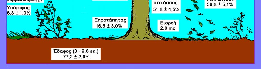 Ένας άλλος μηχανισμός διατήρησης των θρεπτικών στοιχείων προέρχεται και από τη διατήρηση των φύλλων (αείφυλλα φυτά).