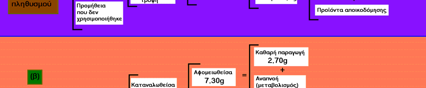 Ο φυτοφάγος αποτελεί την πηγή ενέργειας του σαρκοφάγου και όπως στην περίπτωση του φυτού, το οποίο αποτελεί την τροφή του σαρκοφάγου, από τον σαρκοφάγο δεν καταναλώνεται ολόκληρη η ενέργεια που