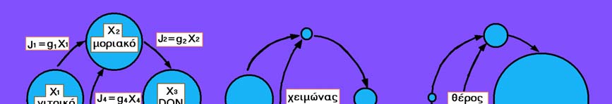 Οι εξισώσεις αυτές υποδηλώνουν ότι η δομή (X s ) και η λειτουργία (J s ) του συστήματος καθορίζονται από τις λειτουργίες μεταφοράς (g s ), οι οποίες ενσωματώνουν τις εξωτερικές δυναμικές μεταβλητές