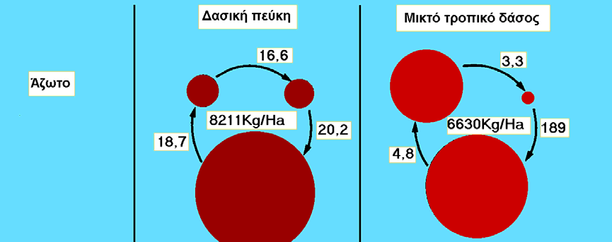 J = [ g 2 g 3 (g 1 - g 2 ) g 1 (g 2 + g 3 ) ] Μ (8.