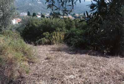 Αναδρομή στο απώτερο παρελθόν Όπως συνήθως συμβαίνει με πολλούς σημαντικούς ναούς του Πηλίου, που έχουν τις ιστορικές τους ρίζες σε προγενέστερες, χαμένες μέσα στο πούσι των χρόνων και των καιρών,