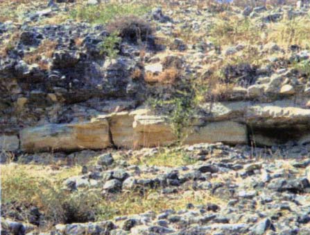 Παρουσιάζει εικόνα εγκατάλειψης και ερήμωσης και σώζεται αποσπασματικά.