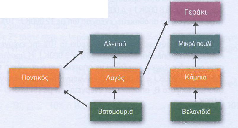 3. Ένα οικοσύστημα αποτελείται από μαργαρίτες, πεταλούδες, φίδια και βατράχους. Αν γνωρίζουμε ότι οι βάτραχοι έχουν βιομάζα ίση με 4.000 Kg και ότι σε 1 Kg βιομάζας αντιστοιχεί ενέργεια ίση με 5.