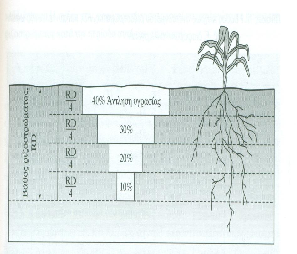 Ριζόστρωμα ή Ενεργό Ριζόστρωμα Τπ αυτές τις συνθήκες στο διάγραμμα άντλησης του νερού του σχήματος, φαίνεται ότι το 40 % των υδατικών απαιτήσεων των φυτών ικανοποιείται από το πάνω ¼ του
