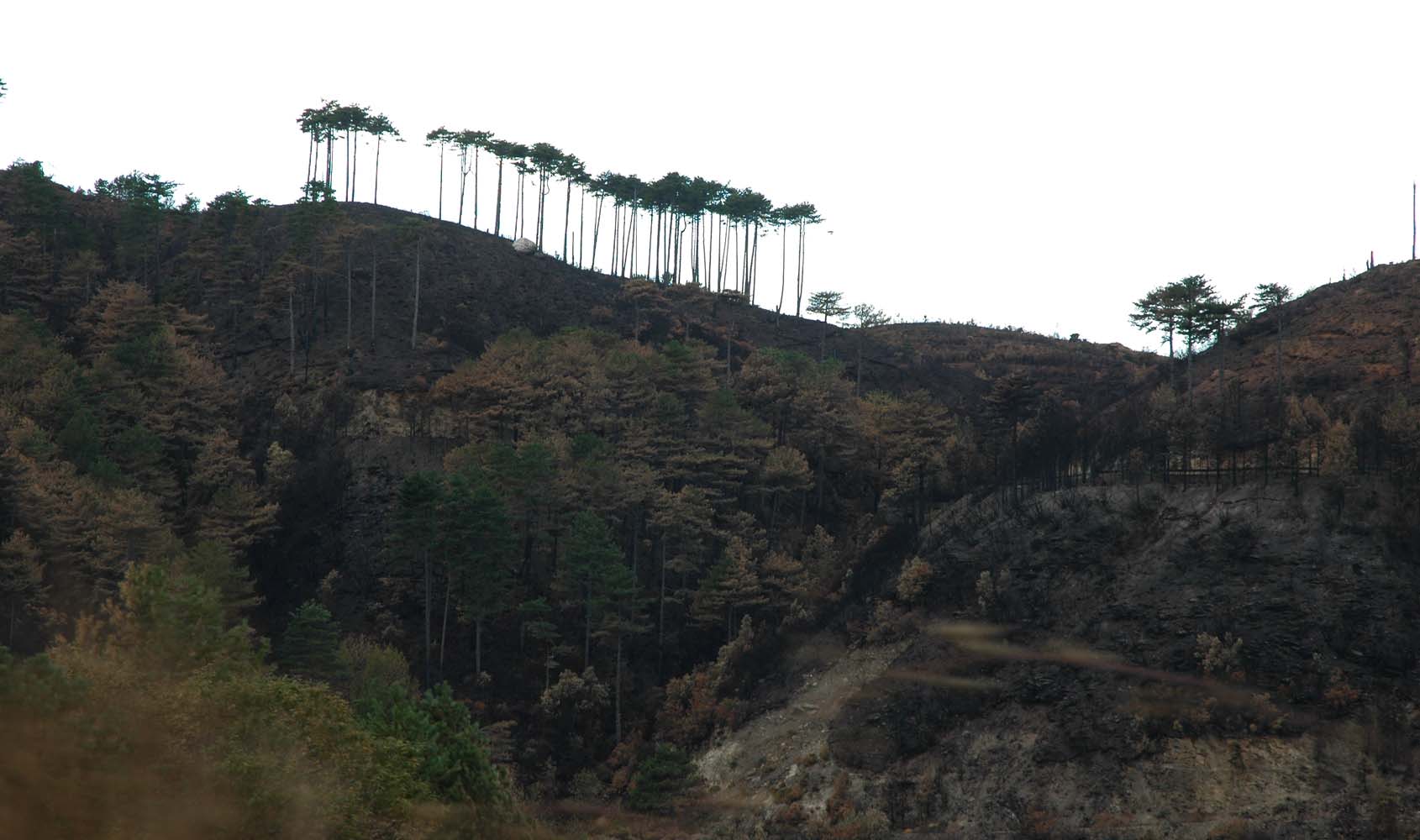 Χαρακτηριστικά της φωτιάς fire burned