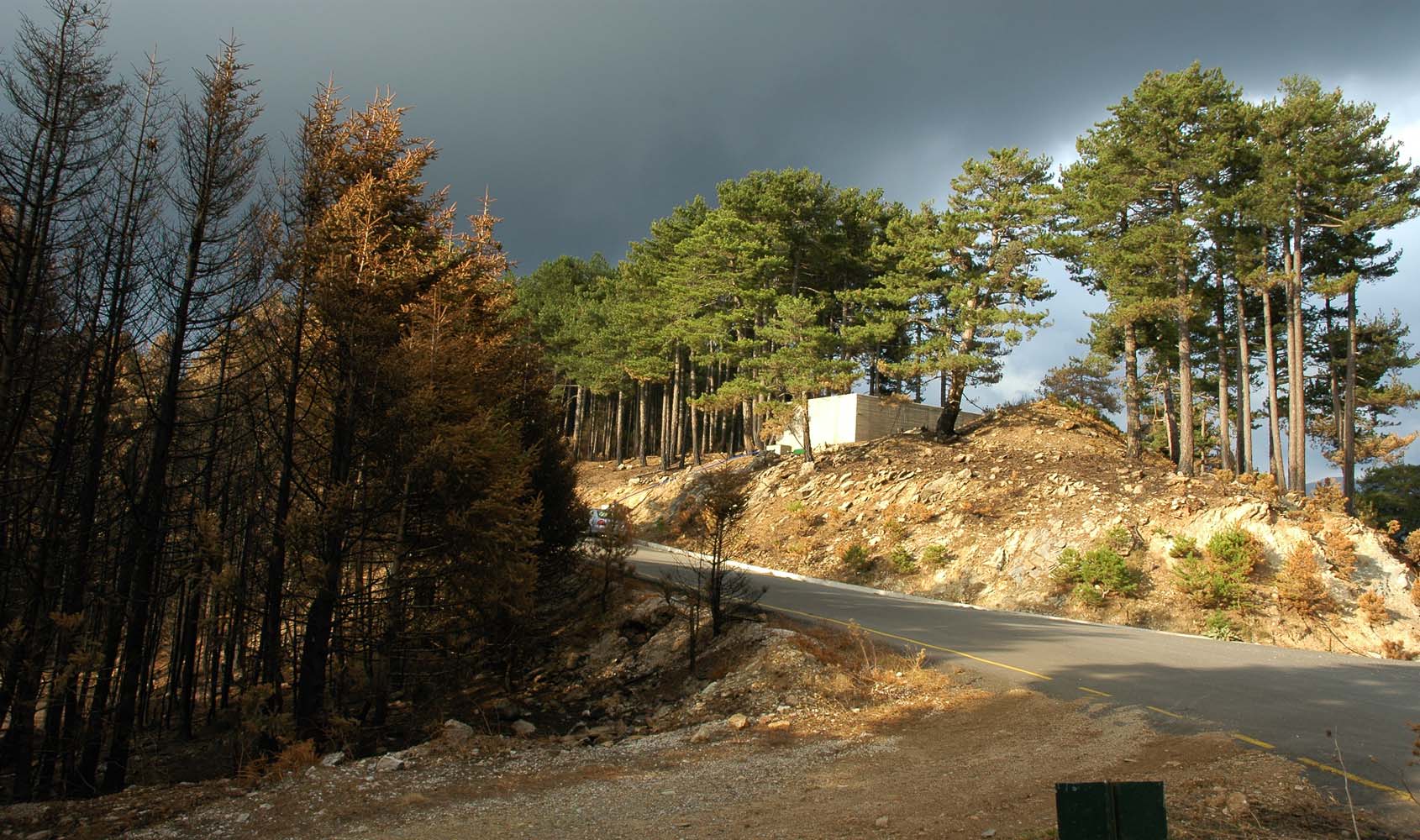 Σημαντικός αριθμός