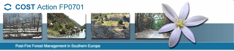 Δίκτυο ερευνητών στο αντικείμενο της οικολογίας της φωτιάς και της διαχείρισης από όλη την Ευρώπη / Mάίος 2008