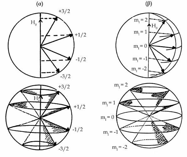 Ε = μ Η ο = ( μ x H x + μ y H y + μ z H z ) Η ανταλλαγή ενέργειας παρουσιάζεται εδώ με ένα Χαμιλτώνειο τελεστή ως προς τις τρεις καρτεσιανές συντεταγμένες x, y και z ].