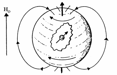 Σχήμα 6.9. Μαγνητικό πεδίο που προκύπτει από τη διαμαγνητική κυκλοφορία ηλεκτρονικού νέφους γύρω από τον πυρήνα και που αντιτίθεται στο εφαρμοζόμενο εξωτερικό πεδίο Η ο.