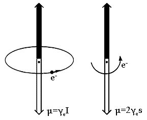 14.2. Συντονισμός Ηλεκτρονικής Αυτοστροφορμής (Spin) Το ηλεκτρόνιο περιστρέφεται γύρω από το κέντρο της μάζας του, δηλαδή παρουσιάζει στροφορμή του spin (spin angular momentum) μέσω δε αυτής της