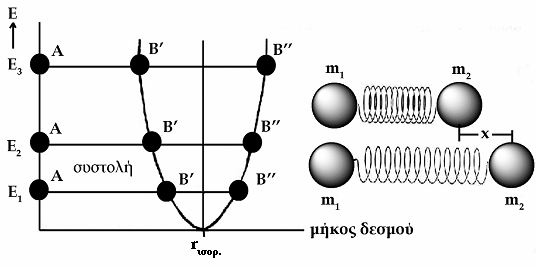 3.1. Δονήσεις και Ενεργειακές Καταστάσεις στο Διατομικό Μόριο Εάν μελετηθεί ένα σταθερό διατομικό μόριο (π.χ.