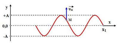 186. Αρμονικό κύμα πλάτους Α διαδίδεται κατά μήκος γραμμικού ελαστικού μέσου το οποίο ταυτίζεται με το θετικό ημιάξονα Οx.