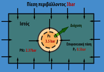 Στην περίπτωση αυτή το αέριο μέσω διάχυσης θα μειώσει τον όγκο της φυσαλίδας. (Σχήμα5) Σχήμα5 Φυσαλίδα σε μέγεθος κυττάρου π.χ. ακτίνας 4μm έχει επιφανειακή τάση 0.5 bar.