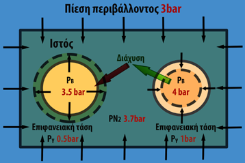 Στο ακόλουθο παράδειγμα η πίεση περιβάλλοντος είναι 3ΑΤΑ, με αέριο κατάδυσης ατμοσφαιρικό αέρα και επίπεδo κορεσμού 3.7bar. Η επιφανειακή τάση στη φυσαλίδα μεγάλου όγκου είναι 0,5bar.