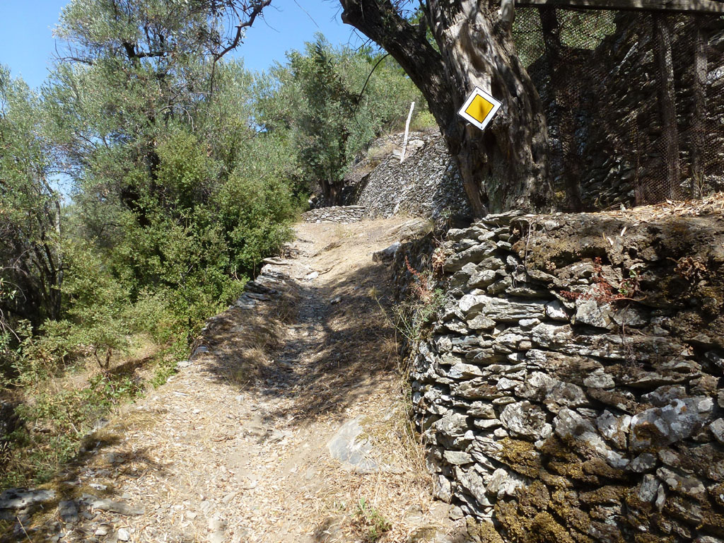 6. Διασταύρωση χωματόδρομου Από τη διασταύρωση χωματόδρομου συνεχίζουμε με κατεύθυνση τον Ταξιάρχη, όπου θα περπατήσουμε 150 μέτρα δρόμου με χώμα.