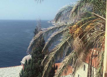 Το κύριο «γεύµα» θα έλθει λίγο αργότερα, όταν οι µοναχοί θα έχουν αποσυρθεί στα κελιά τους ή σε κάποια ήσυχη γωνιά του κήπου και θα ασχοληθούν µε την πνευµατική τους τροφή, θα τραβήξουν το