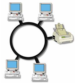 γ) Δακτυλίου (Ring): κάθε υπολογιστής συνδέεται με δύο