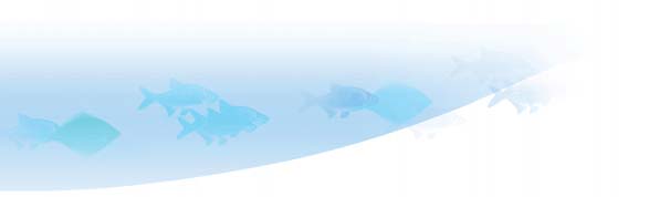 Αλιεία του τόνου και σχέσεις Βορρά/Νότου: µία ευαίσθητη ισορροπία Η αλιεία του τόνου διαφέρει σε αρκετά σηµεία από τα υπόλοιπα είδη αλιείας στα οποία δραστηριοποιείται η Ευρωπαϊκή Ένωση.