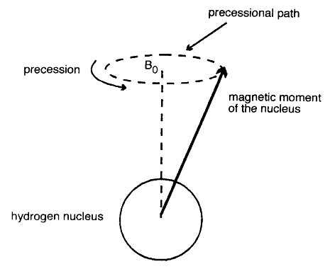 Εικόνα 1.6: Μετάπτωση της μαγνητικής ροπής Το πρωτόνιο ανάλογα πόση ενέργεια έχει θα καθορίσει και ποια κατεύθυνση θα έχει η μετάπτωσή του.