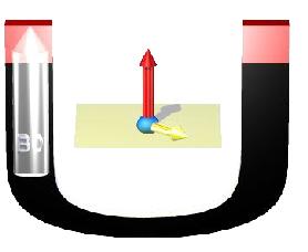 1.3 Σύστημα Συνολικής Μαγνήτισης (Μ) Η συνολική μαγνήτιση (Μ) των περιστρεφόμενων πρωτονίων μπορεί να χωριστεί σε δύο ορθογώνιες συνιστώσες: μία διαμήκη ή z- συνιστώσα και μια κάθετη συνιστώσα που