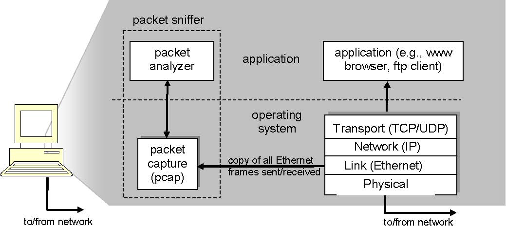 Σχ.22 Δομή packet sniffer Το δεύτερο συστατικό στοιχείο ενός packet sniffer είναι ο αναλυτής πακέτων (packet analyzer), ο οποίος απεικονίζει τα περιεχόµενα όλων των πεδίων µέσα στο µήνυµα ενός