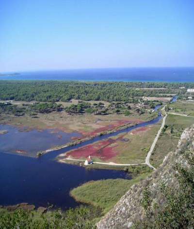 Παραδείγματα διαχείρισης καλαμιώνων και υγρολίβαδων σε προστατευόμενες περιοχές της Ελλάδας