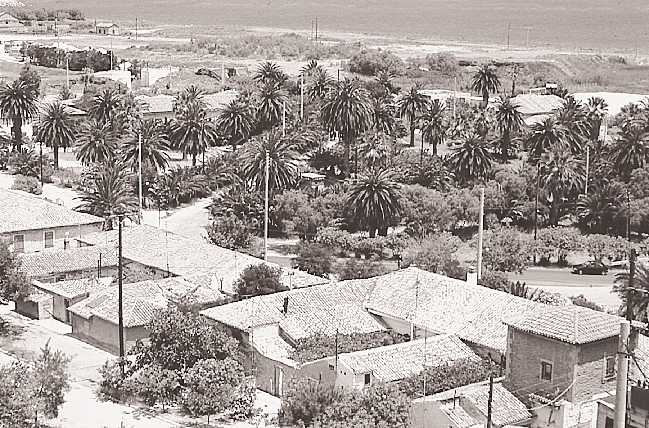Aποψη του Kυπριανού με φόντο τα «περιβολάκια».