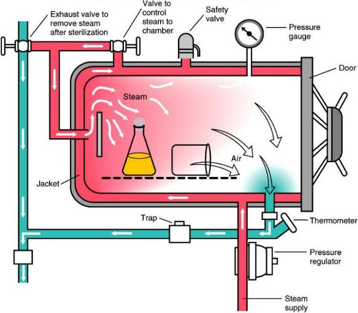 Μέθοδος Υγρής Αποστείρωσης Αυτόκαυστο 1/2 Το αυτόκαυστο χρησιμοποιεί ατμό υπό