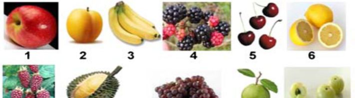fruits Fruits include: 1 apple, 2 apricot, 3 banana, 4